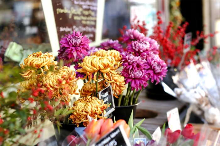 Aprire un Negozio di Fiori di Successo: i Costi