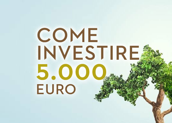 Come investire 5.000 euro: su cosa conviene puntare