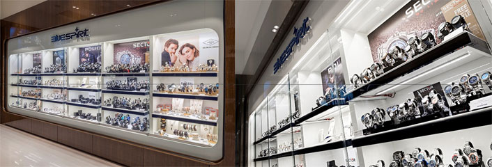 bluespirit franchising