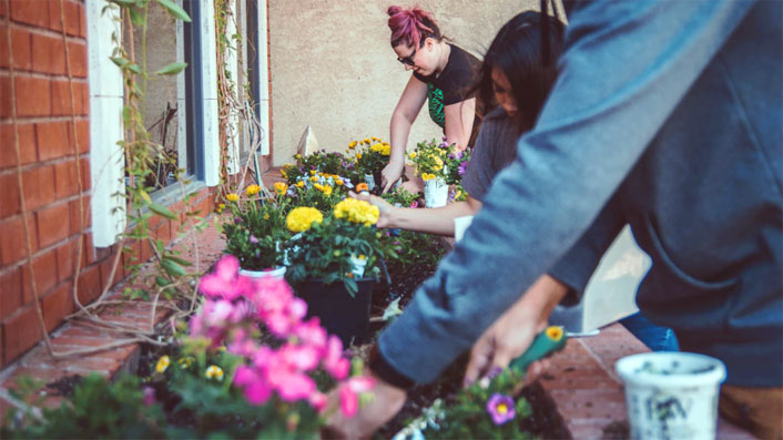 Cosa Occorre per Diventare Giardiniere?
