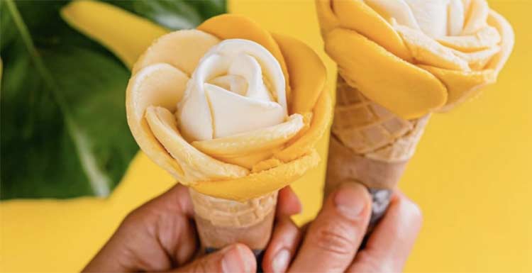 amorino-franchising-gelaterie