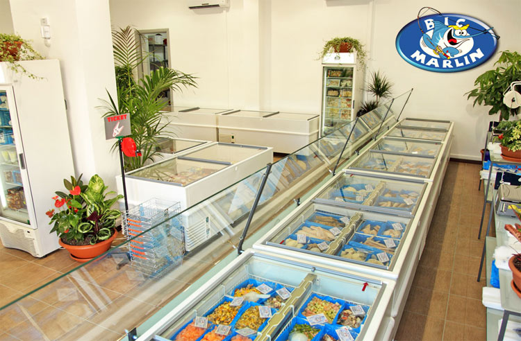 bigmarlin-franchising-1.jpg