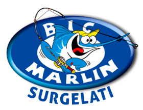 bigmarlin-franchising