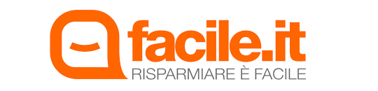facile it franchising