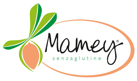mamey-franchising.jpg
