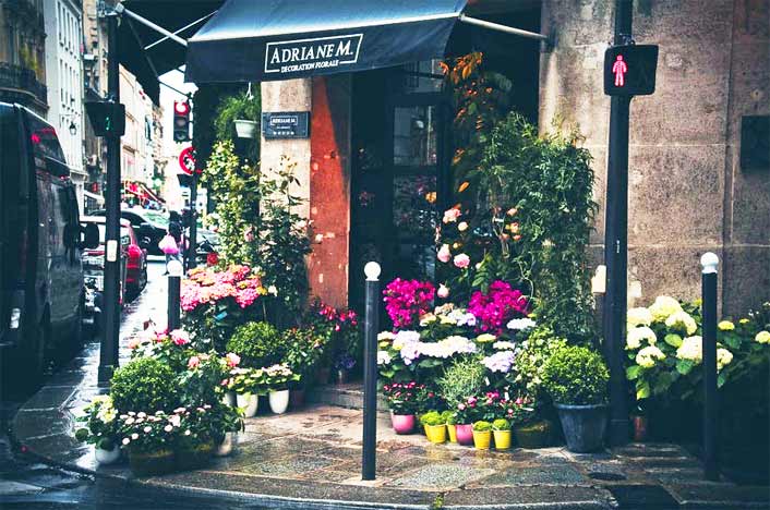 Idee per Aprire un Negozio di Fiori