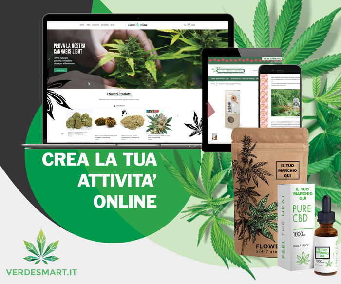 verdesmart-franchising-cannabis-dropshipping.jpg