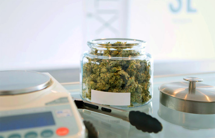 Negozi di Cannabis Light – Novità, Divieti e Limitazioni