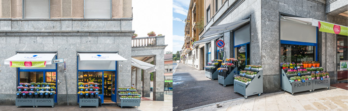 fiorito franchising