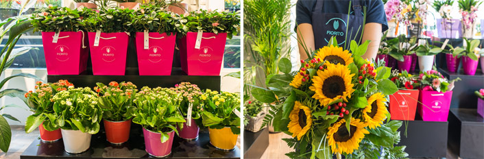 aprire franchising fiorito