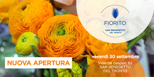 franchising fiorito news