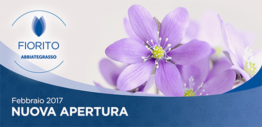 aprire fiorito franchising