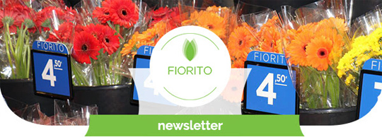 fiorito news lodi
