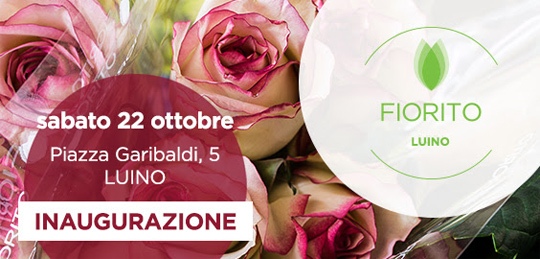 franchising fiorito a luino