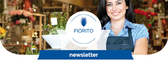 fiorito news innovazione
