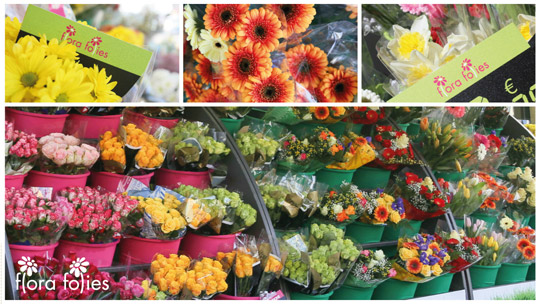flora folies franchising fiori