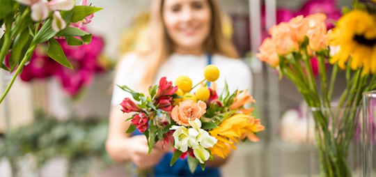 franchising flora folies