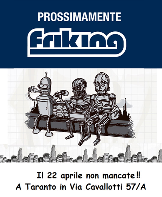 friking franchising low cost