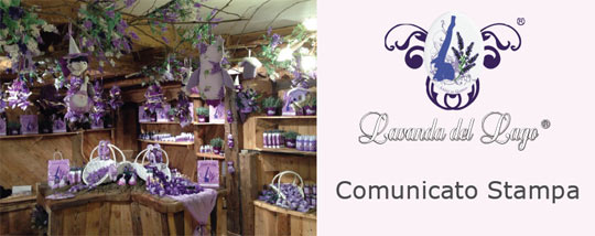 negozi lavanda
