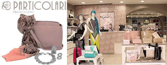 particolari franchising