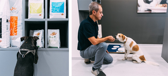 pets planet franchising negozio