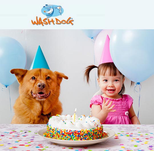 wash dog franchising 