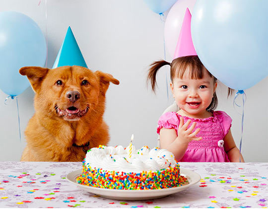 wash dog franchising firenze