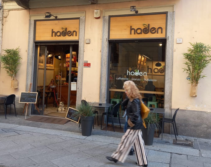 haden-franchising-4.jpg