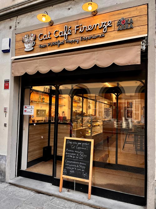 purr-franchising-cat-cafe-1.jpg